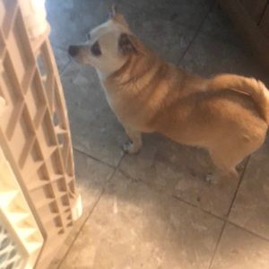 Meet your Posher, Jamie